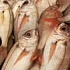Японские рыбаки требуют от оператора АЭС $5,2 млн 